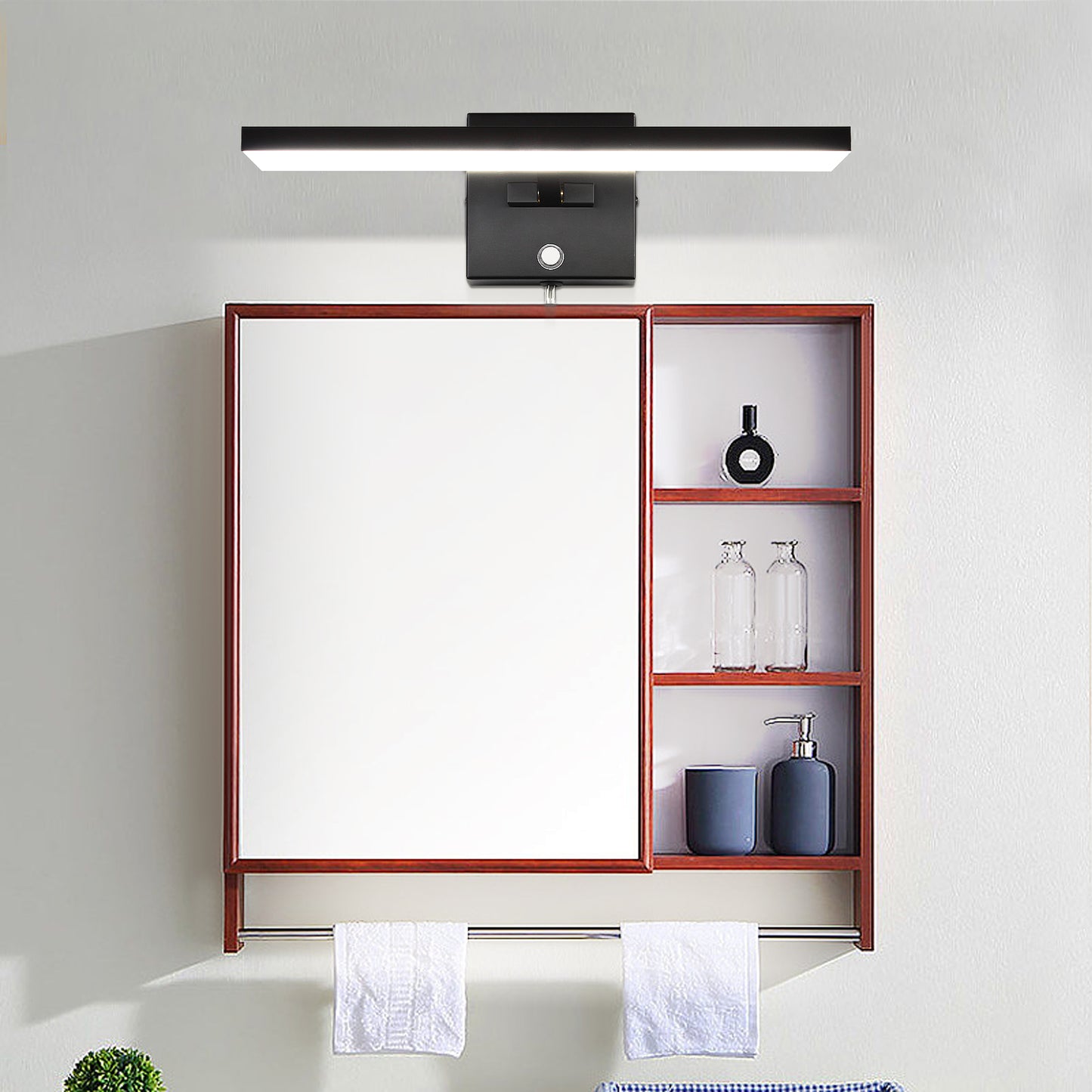 Dimmable Picture Light Mirror Light for Dressing Room Bathroom